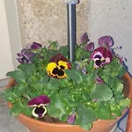Vakantiehuis Chez Emile 2 Avec Jardin Prive