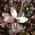 Chez Emile 2 Avec Jardin Prive Humes-Jorquenay