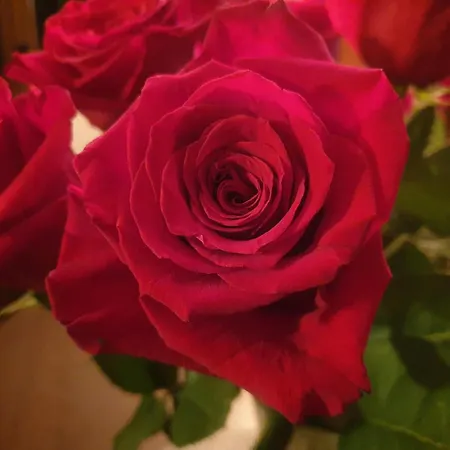 Chez Emile 2 Avec Jardin Prive