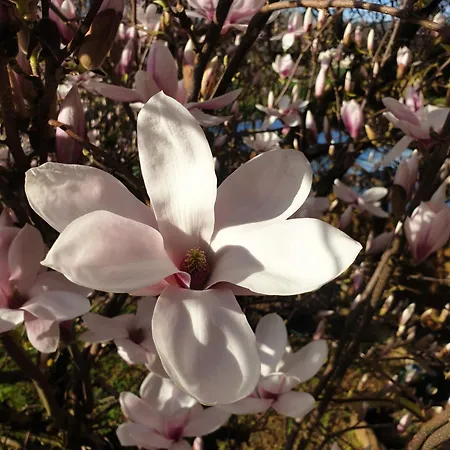 Chez Emile 2 Avec Jardin Prive Humes-Jorquenay